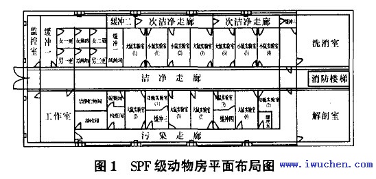 實驗動物房平面布置圖